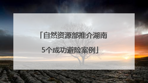 自然资源部推介湖南5个成功避险案例