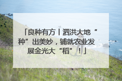 良种有方丨泗洪大地“种”出美妙，铺就农业发展金光大“稻”！
