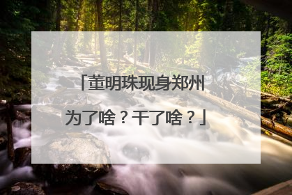 董明珠现身郑州 为了啥？干了啥？