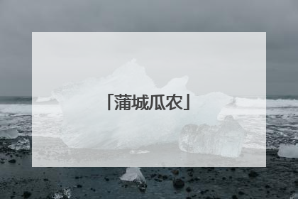 蒲城瓜农
