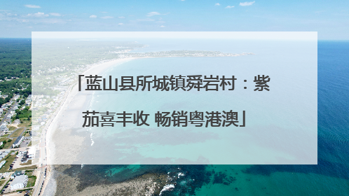 蓝山县所城镇舜岩村：紫茄喜丰收 畅销粤港澳