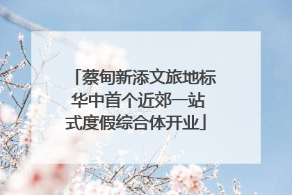 蔡甸新添文旅地标 华中首个近郊一站式度假综合体开业