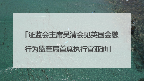 证监会主席吴清会见英国金融行为监管局首席执行官亚迪