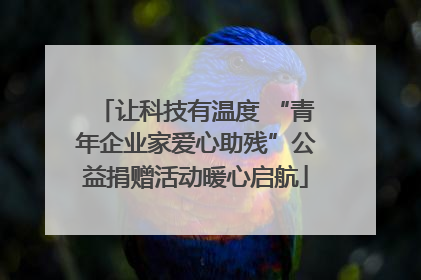 让科技有温度 “青年企业家爱心助残”公益捐赠活动暖心启航