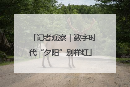 记者观察｜数字时代“夕阳”别样红