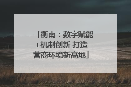 衡南：数字赋能+机制创新 打造营商环境新高地