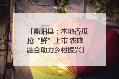 衡阳县：本地香瓜抢“鲜”上市 农旅融合助力乡村振兴