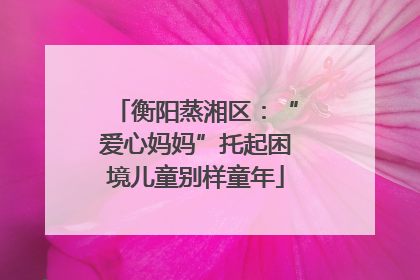衡阳蒸湘区：“爱心妈妈”托起困境儿童别样童年