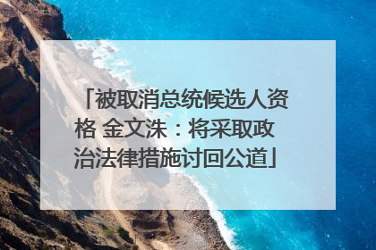 被取消总统候选人资格 金文洙：将采取政治法律措施讨回公道