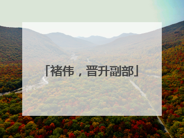褚伟，晋升副部