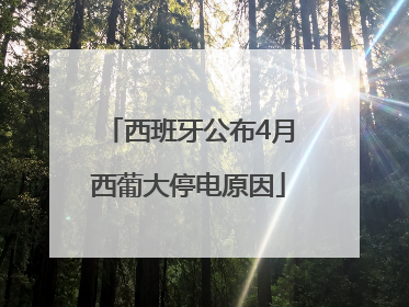 西班牙公布4月西葡大停电原因