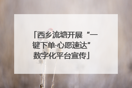 西乡流塘开展“一键下单·心愿速达”数字化平台宣传