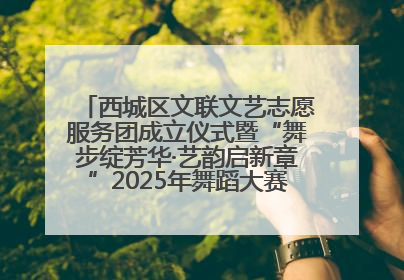 西城区文联文艺志愿服务团成立仪式暨“舞步绽芳华·艺韵启新章”2025年舞蹈大赛展演圆满举办
