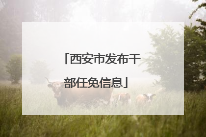 西安市发布干部任免信息
