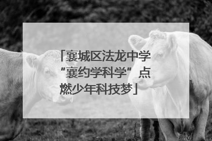 襄城区法龙中学“襄约学科学”点燃少年科技梦