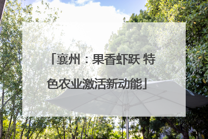 襄州：果香虾跃 特色农业激活新动能