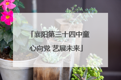 襄阳第三十四中童心向党 艺展未来