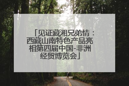 见证藏湘兄弟情：西藏山南特色产品亮相第四届中国-非洲经贸博览会