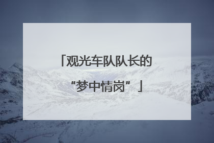 观光车队队长的“梦中情岗”