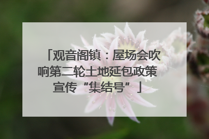 观音阁镇：屋场会吹响第二轮土地延包政策宣传“集结号”