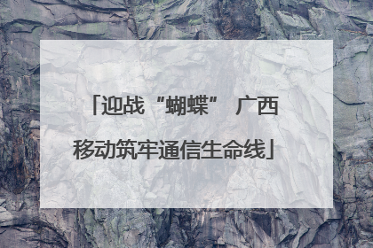 迎战“蝴蝶” 广西移动筑牢通信生命线