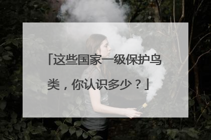 这些国家一级保护鸟类，你认识多少？