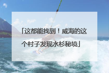 这都能找到！威海的这个村子发现水杉秘境