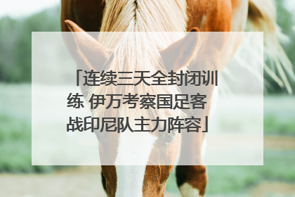 连续三天全封闭训练 伊万考察国足客战印尼队主力阵容