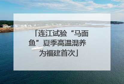 连江试验“马面鱼”夏季高温混养 为福建首次