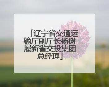 辽宁省交通运输厅副厅长杨树履新省交投集团总经理