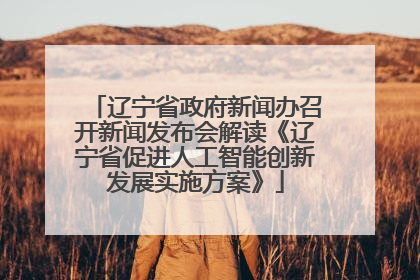辽宁省政府新闻办召开新闻发布会解读《辽宁省促进人工智能创新发展实施方案》