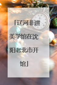 辽河非遗美学馆在沈阳老北市开馆