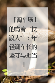 调车场上的青春“摆渡人”：年轻调车长的坚守与担当