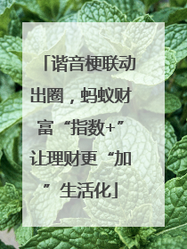 谐音梗联动出圈，蚂蚁财富“指数+”让理财更“加”生活化