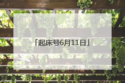 起床号6月11日