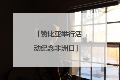 赞比亚举行活动纪念非洲日