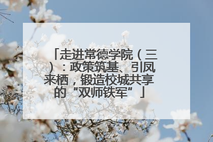 走进常德学院（三）：政策筑基、引凤来栖，锻造校城共享的“双师铁军”