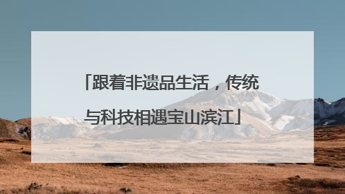 跟着非遗品生活，传统与科技相遇宝山滨江