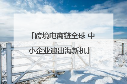 跨境电商链全球 中小企业迎出海新机