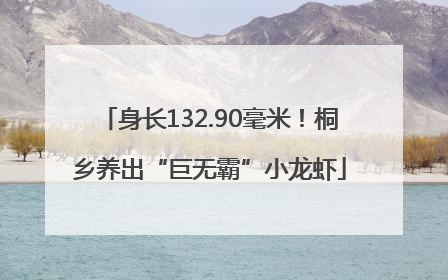 身长132.90毫米！桐乡养出“巨无霸”小龙虾
