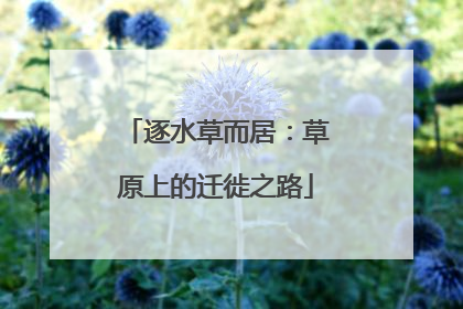 逐水草而居：草原上的迁徙之路