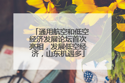 通用航空和低空经济发展论坛首次亮相，发展低空经济，山东机遇多