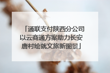 通联支付陕西分公司以云商通方案助力长安唐村绘就文旅新图景