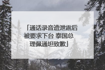 通话录音遭泄露后被要求下台 泰国总理佩通坦致歉