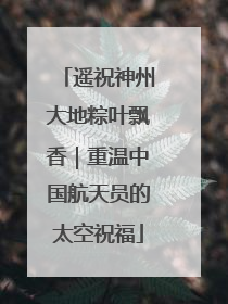 遥祝神州大地粽叶飘香｜重温中国航天员的太空祝福