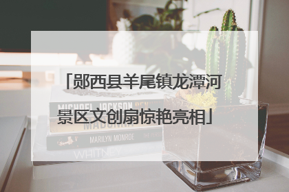 郧西县羊尾镇龙潭河景区文创扇惊艳亮相