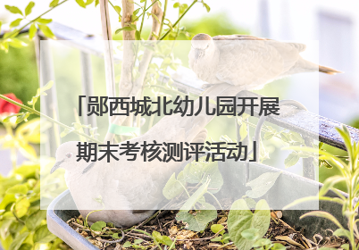 郧西城北幼儿园开展期末考核测评活动