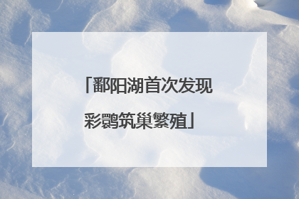 鄱阳湖首次发现彩鹮筑巢繁殖