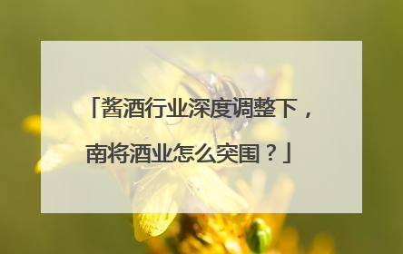 酱酒行业深度调整下，南将酒业怎么突围？