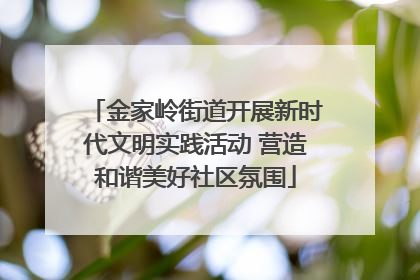 金家岭街道开展新时代文明实践活动 营造和谐美好社区氛围